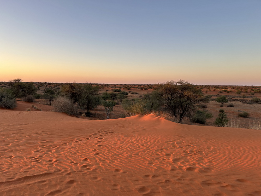Paesaggi della Namibia