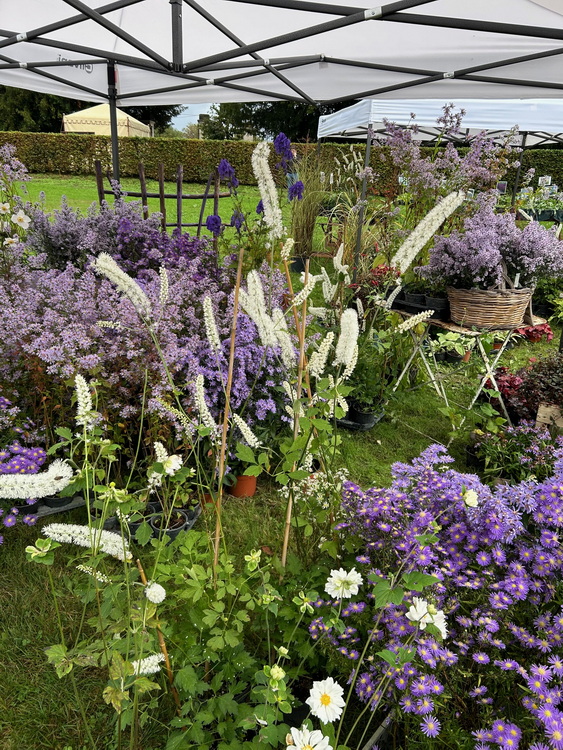 Tre giorni per il giardino al Castello di Masino. Autunno 2024